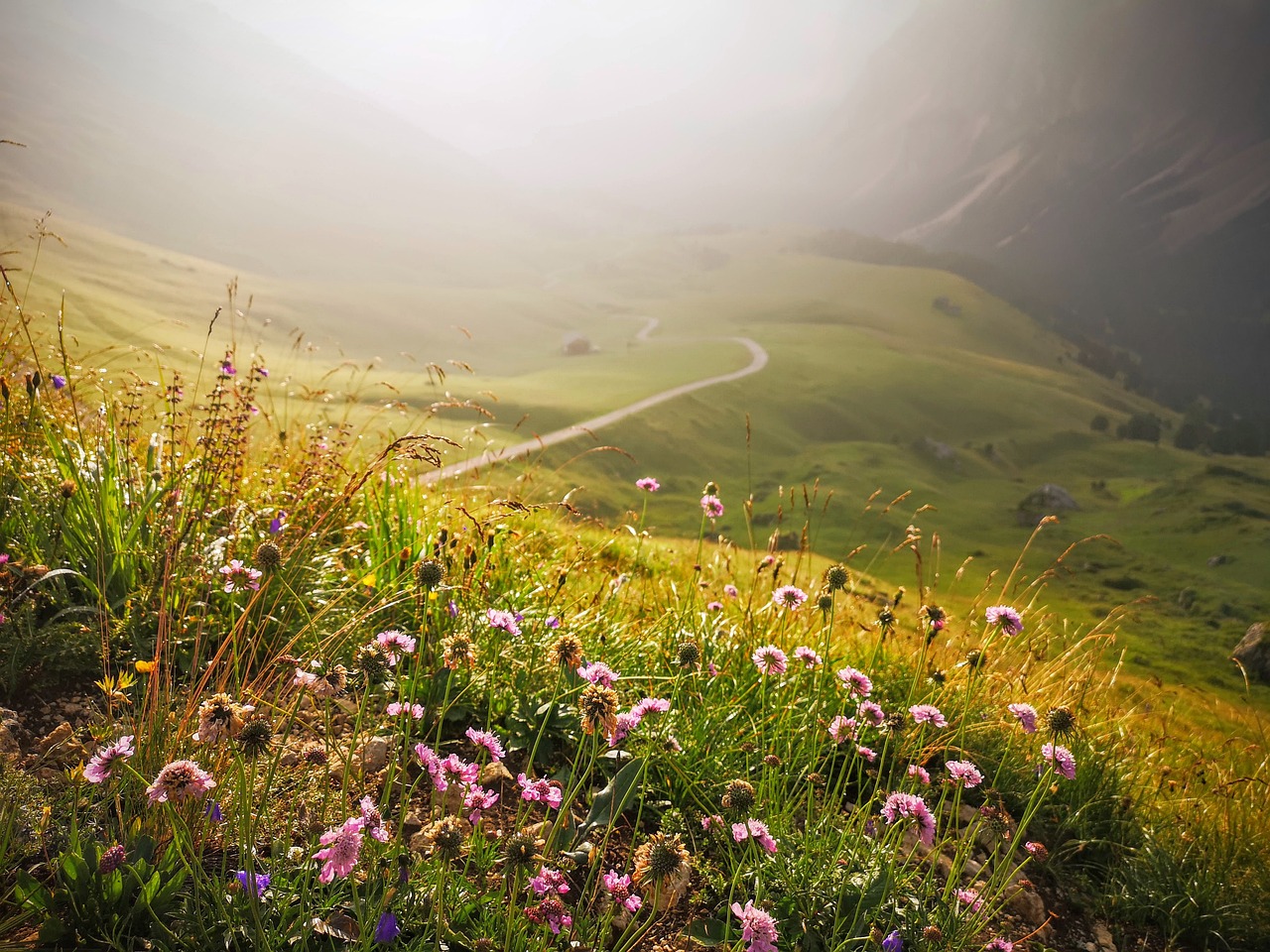 How to Make the Most of Your Commute